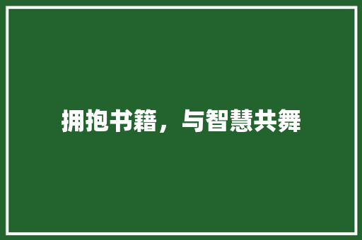 拥抱书籍，与智慧共舞