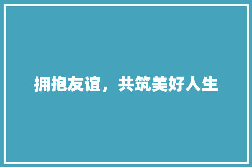 拥抱友谊，共筑美好人生