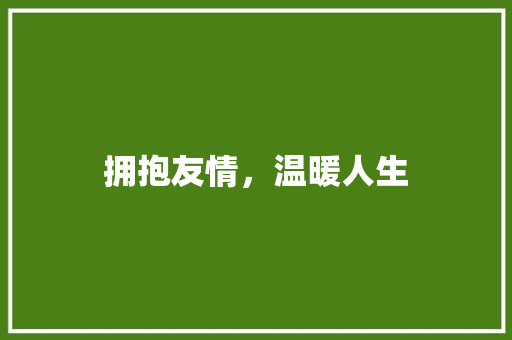 拥抱友情，温暖人生