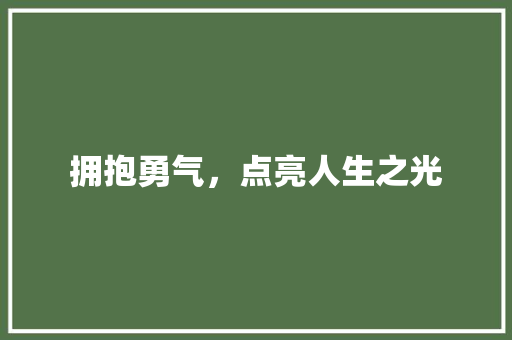 拥抱勇气，点亮人生之光