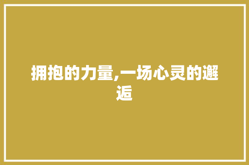 拥抱的力量,一场心灵的邂逅