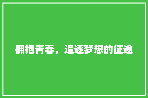 拥抱青春，追逐梦想的征途