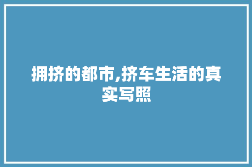 拥挤的都市,挤车生活的真实写照