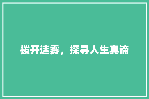 拨开迷雾，探寻人生真谛