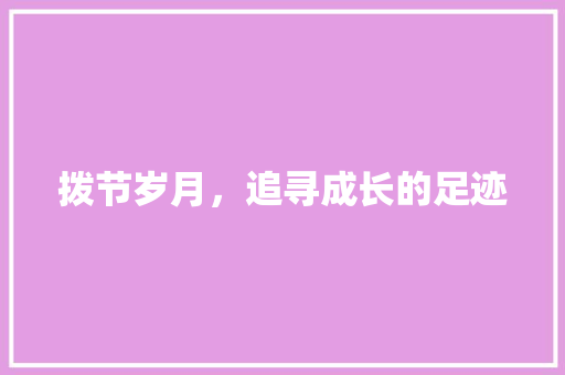 拨节岁月，追寻成长的足迹