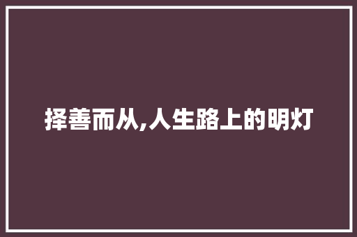 择善而从,人生路上的明灯