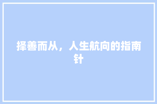 择善而从，人生航向的指南针