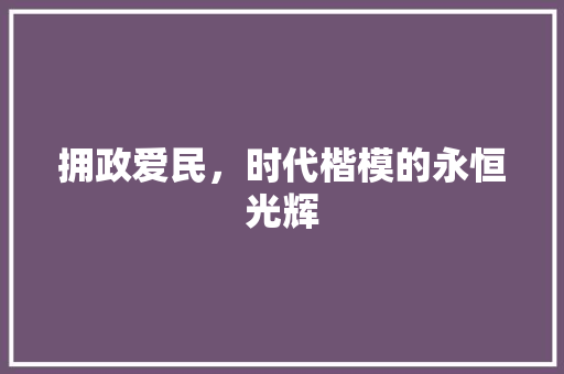 拥政爱民，时代楷模的永恒光辉