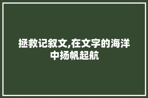 拯救记叙文,在文字的海洋中扬帆起航