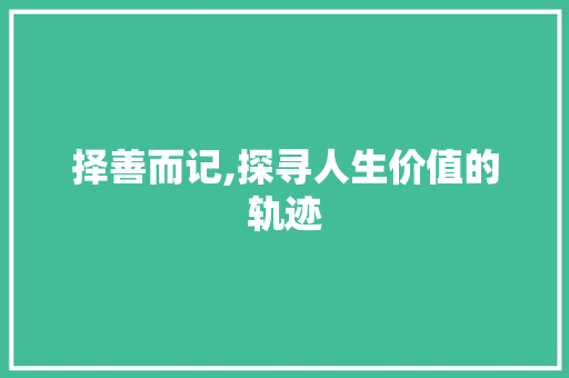 择善而记,探寻人生价值的轨迹