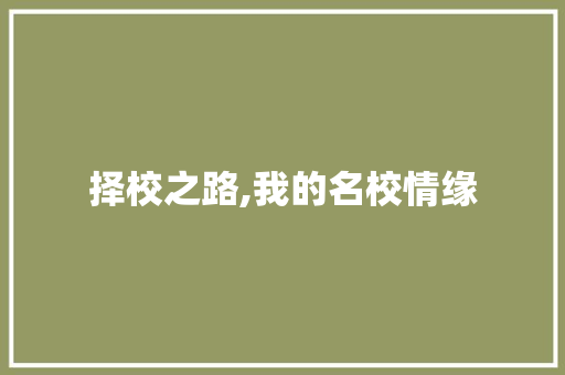 择校之路,我的名校情缘