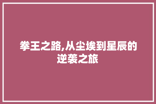 拳王之路,从尘埃到星辰的逆袭之旅