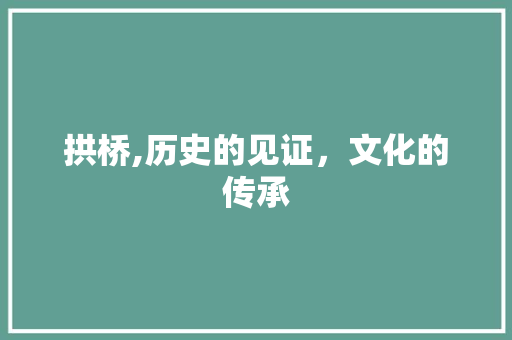 拱桥,历史的见证，文化的传承