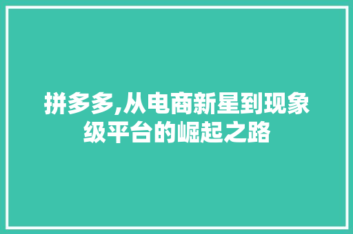 拼多多,从电商新星到现象级平台的崛起之路