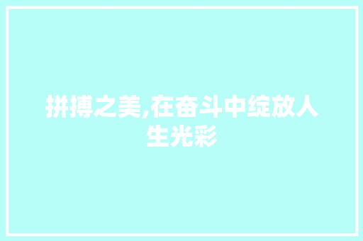 拼搏之美,在奋斗中绽放人生光彩