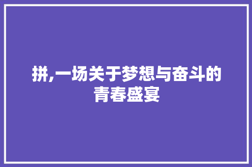 拼,一场关于梦想与奋斗的青春盛宴