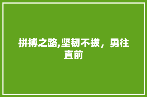 拼搏之路,坚韧不拔，勇往直前