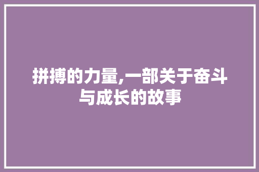 拼搏的力量,一部关于奋斗与成长的故事