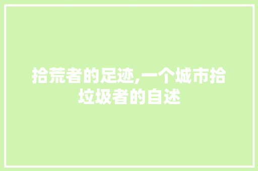 拾荒者的足迹,一个城市拾垃圾者的自述