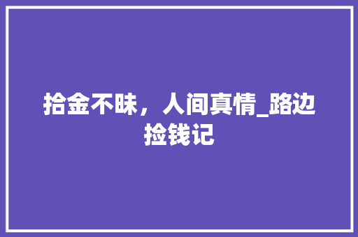 拾金不昧，人间真情_路边捡钱记