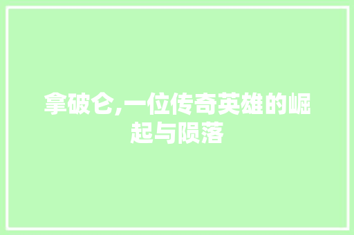 拿破仑,一位传奇英雄的崛起与陨落