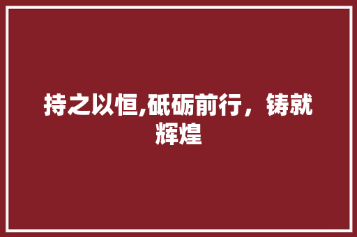 持之以恒,砥砺前行，铸就辉煌