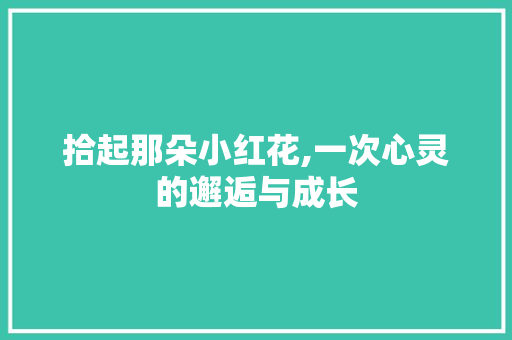 拾起那朵小红花,一次心灵的邂逅与成长