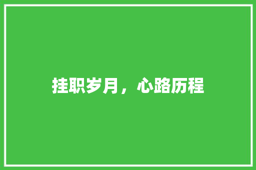 挂职岁月，心路历程