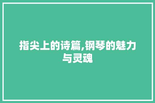 指尖上的诗篇,钢琴的魅力与灵魂