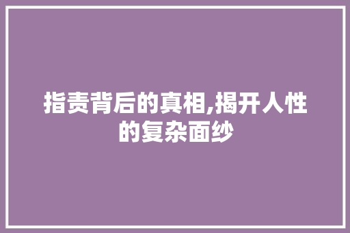 指责背后的真相,揭开人性的复杂面纱