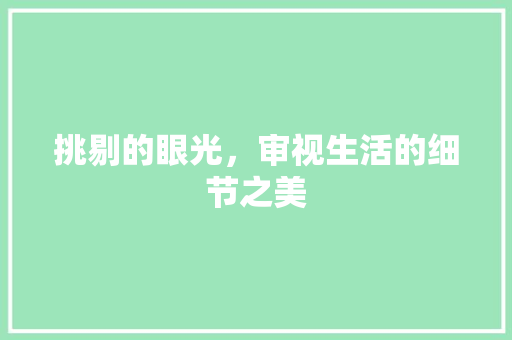 挑剔的眼光，审视生活的细节之美