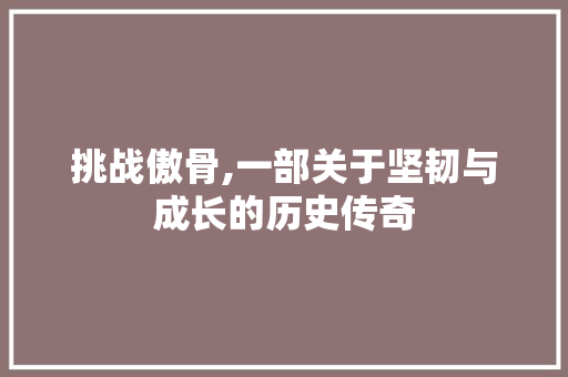 挑战傲骨,一部关于坚韧与成长的历史传奇