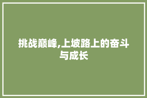 挑战巅峰,上坡路上的奋斗与成长