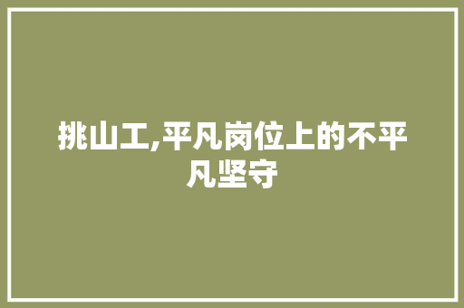 挑山工,平凡岗位上的不平凡坚守