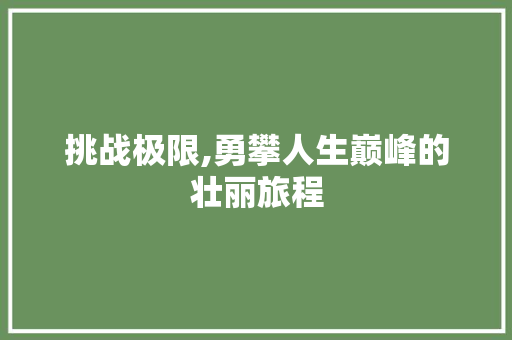 挑战极限,勇攀人生巅峰的壮丽旅程