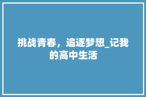 挑战青春，追逐梦想_记我的高中生活