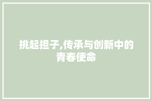 挑起担子,传承与创新中的青春使命