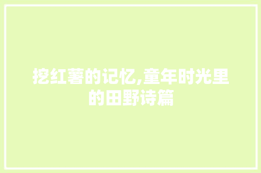 挖红薯的记忆,童年时光里的田野诗篇