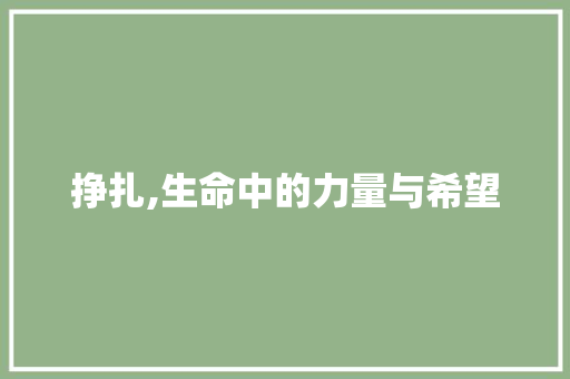 挣扎,生命中的力量与希望