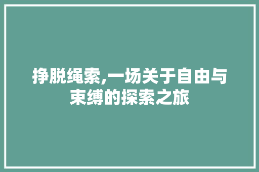 挣脱绳索,一场关于自由与束缚的探索之旅