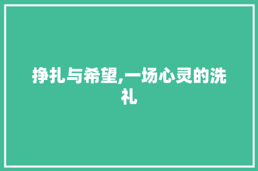 挣扎与希望,一场心灵的洗礼