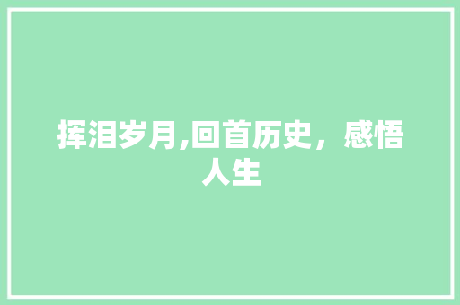 挥泪岁月,回首历史，感悟人生