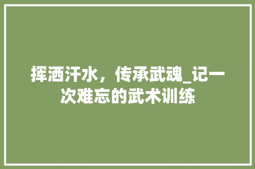 挥洒汗水，传承武魂_记一次难忘的武术训练