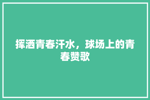 挥洒青春汗水，球场上的青春赞歌