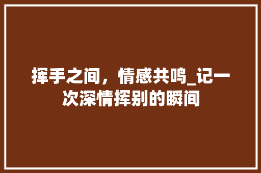 挥手之间，情感共鸣_记一次深情挥别的瞬间