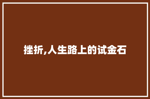 挫折,人生路上的试金石