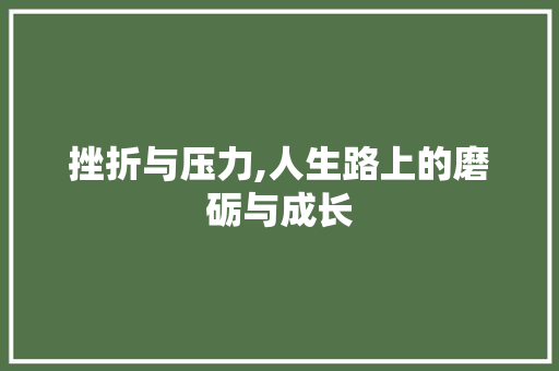 挫折与压力,人生路上的磨砺与成长