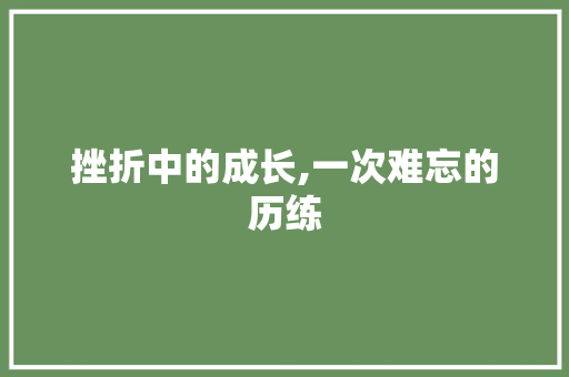 挫折中的成长,一次难忘的历练