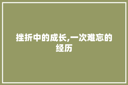 挫折中的成长,一次难忘的经历