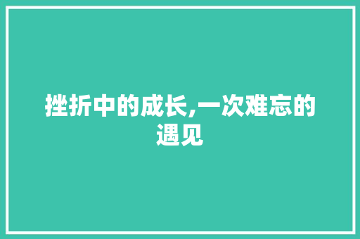 挫折中的成长,一次难忘的遇见